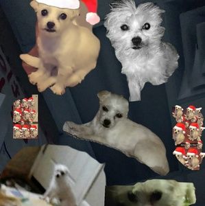 Meet your Posher, The